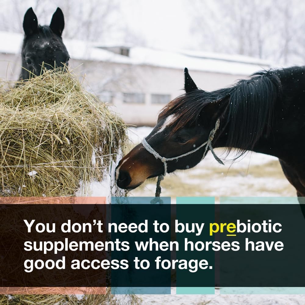 Premium Equine Digestive Health Supplement with Micro-Encapsulated Probiotics for Horses