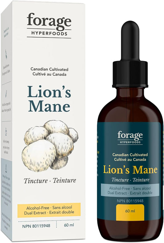 Premium Forage Hyperfoods Lion’s Mane Tincture - Memory & Nerve Support - Dual Extract - Alcohol-Free - 60 ml