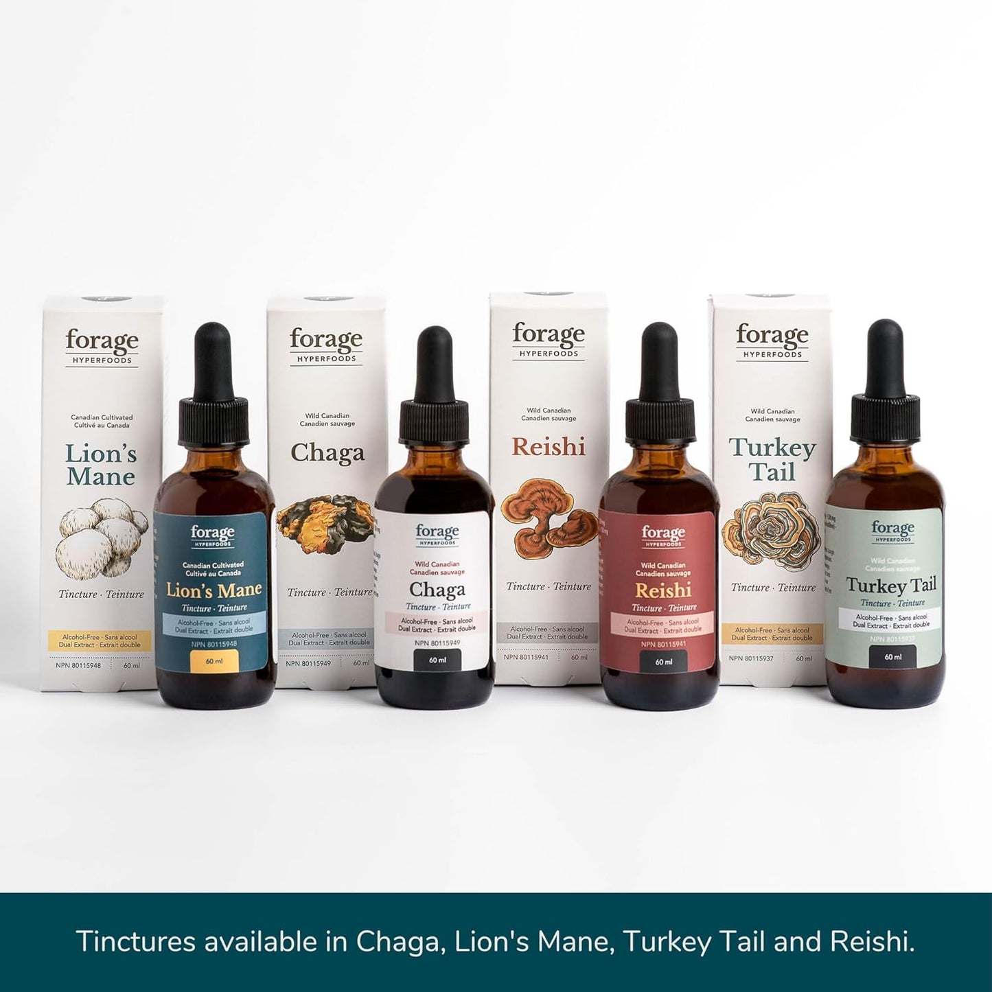 Premium Forage Hyperfoods Lion’s Mane Tincture - Memory & Nerve Support - Dual Extract - Alcohol-Free - 60 ml