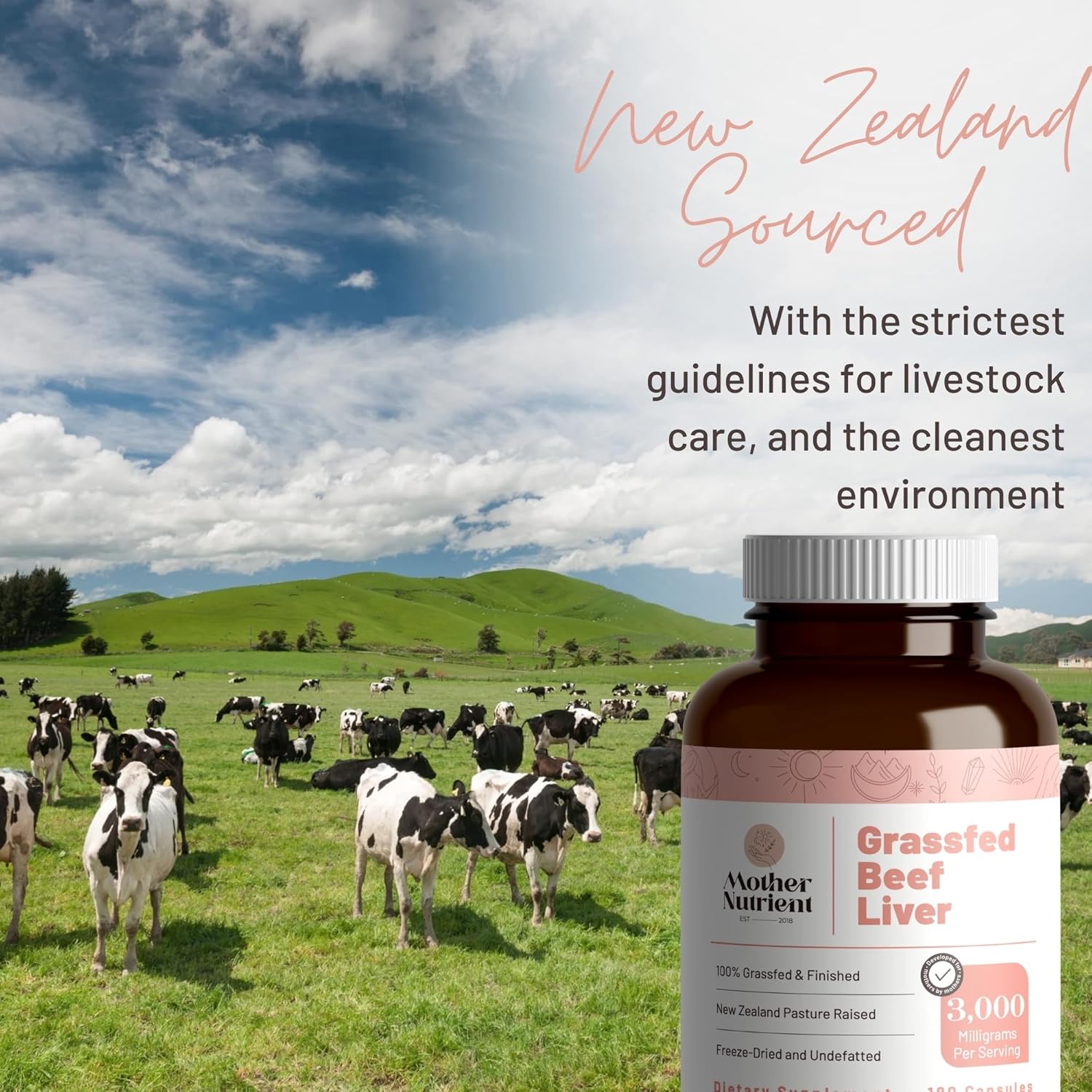 Premium Grass Fed Beef Liver Capsules from New Zealand - Rich in Vitamins A, B12, Iron, Protein - 180 Capsules for 45 Days