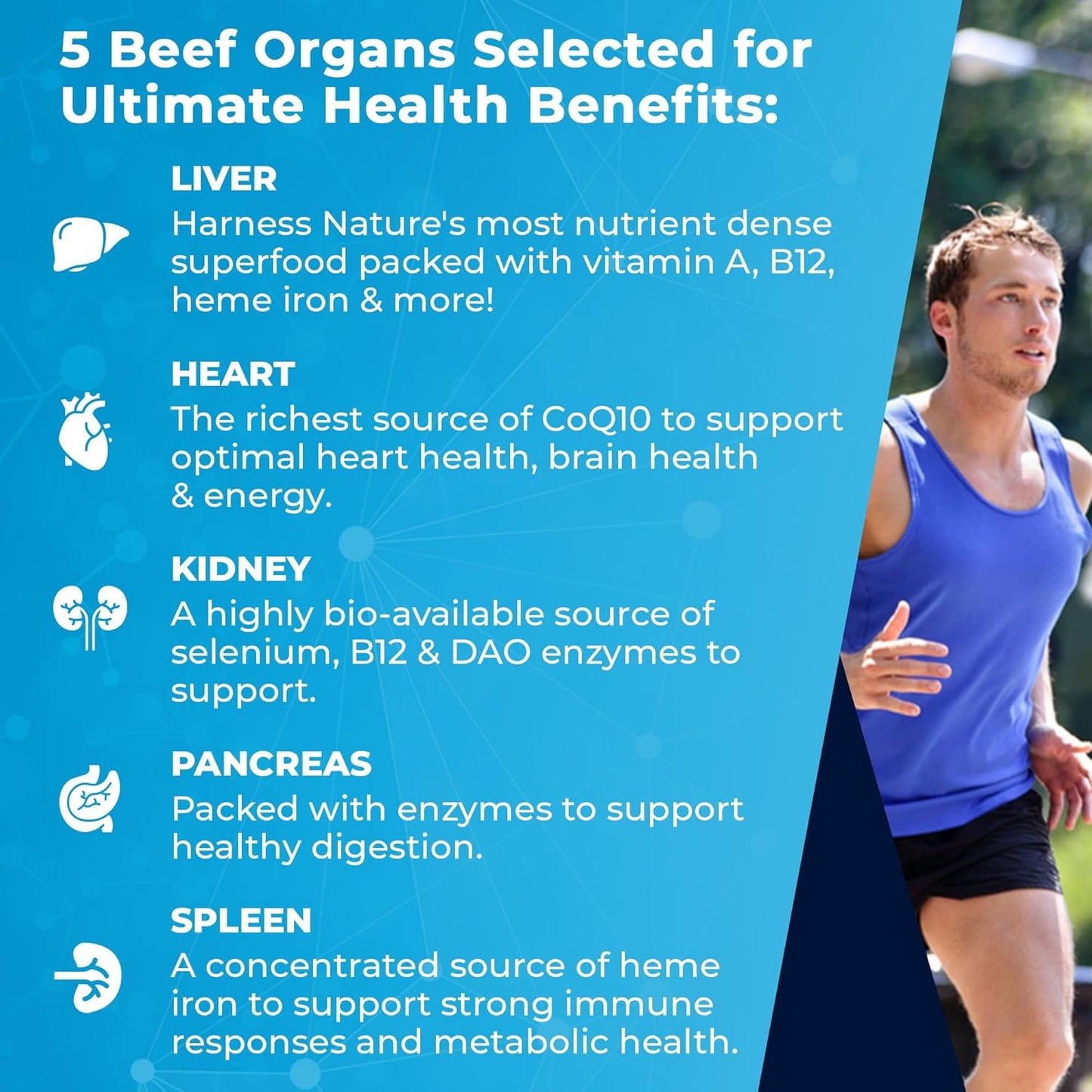 Premium Grass-Fed Beef Organs Supplement for Energy & Wellness - 100% Natural & Non-GMO - 180 Capsules