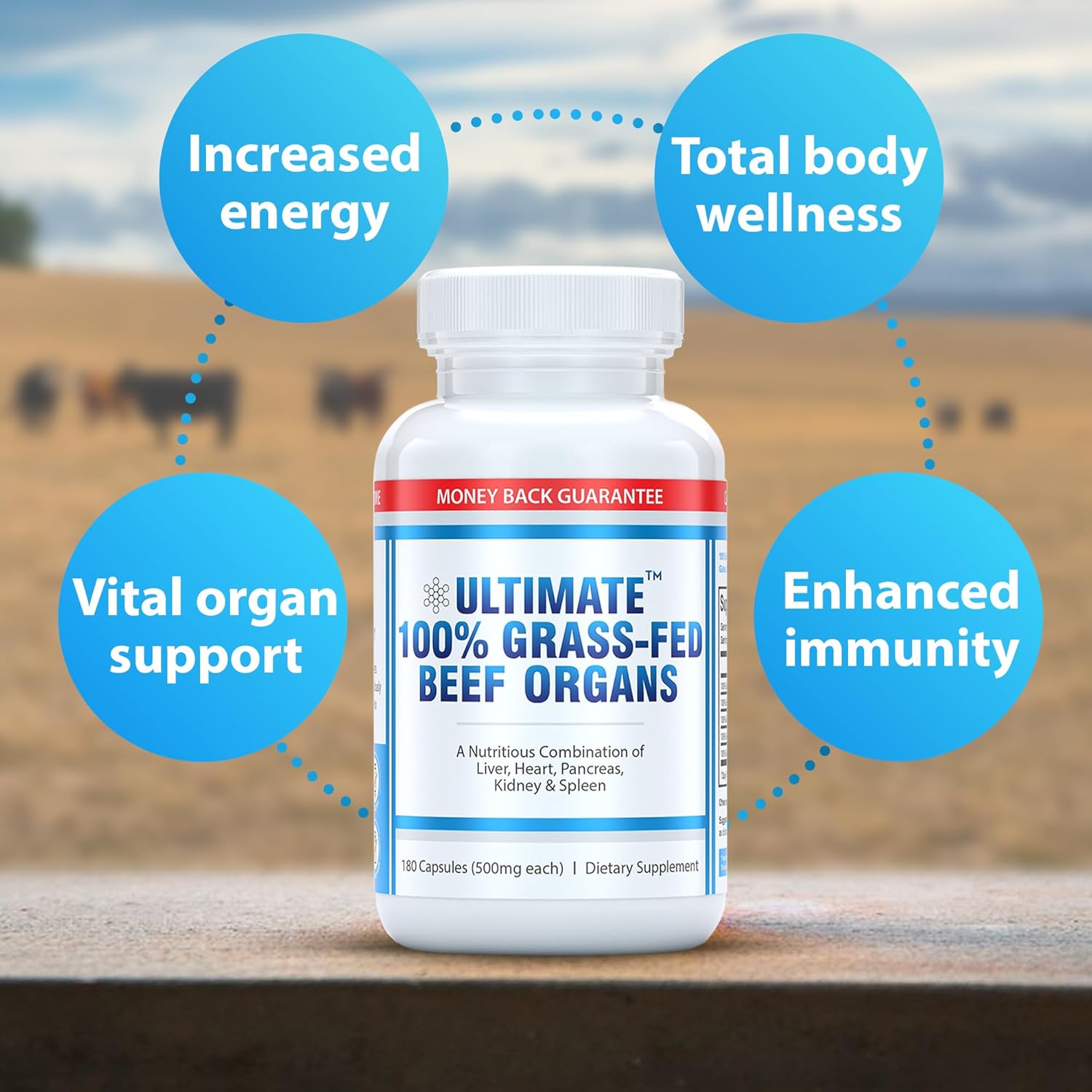 Premium Grass-Fed Beef Organs Supplement for Energy & Wellness - 100% Natural & Non-GMO - 180 Capsules