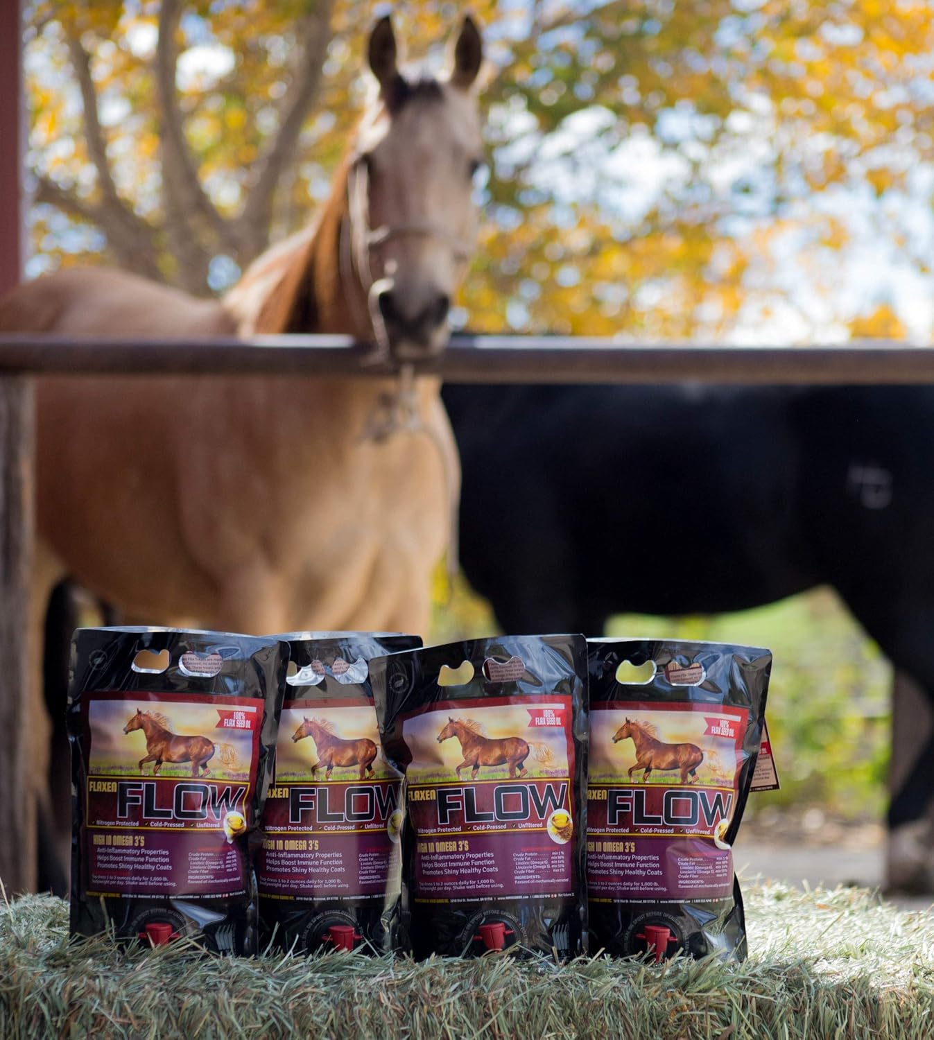 Premium Horse Guard Flax Seed Oil 3 L - Omega-3 & Omega-6 Fatty Acids for Horses