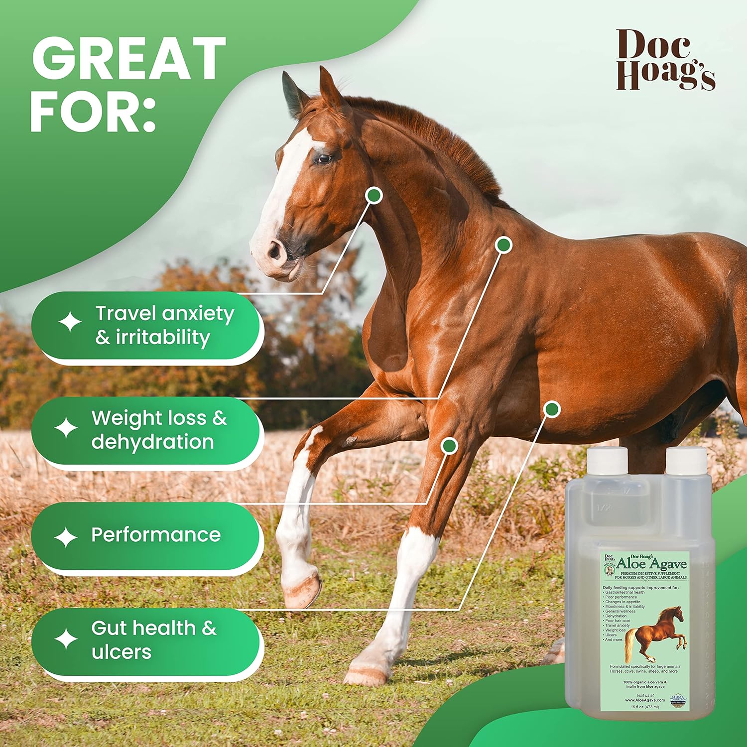 Premium Horse Supplement for Gut Health with Aloe Vera and Agave for Natural Equine Gastric Support and Stress Relief, Support Ulcer Improvement for Horses and Large Animals - Udder Balm Doc Hoag's