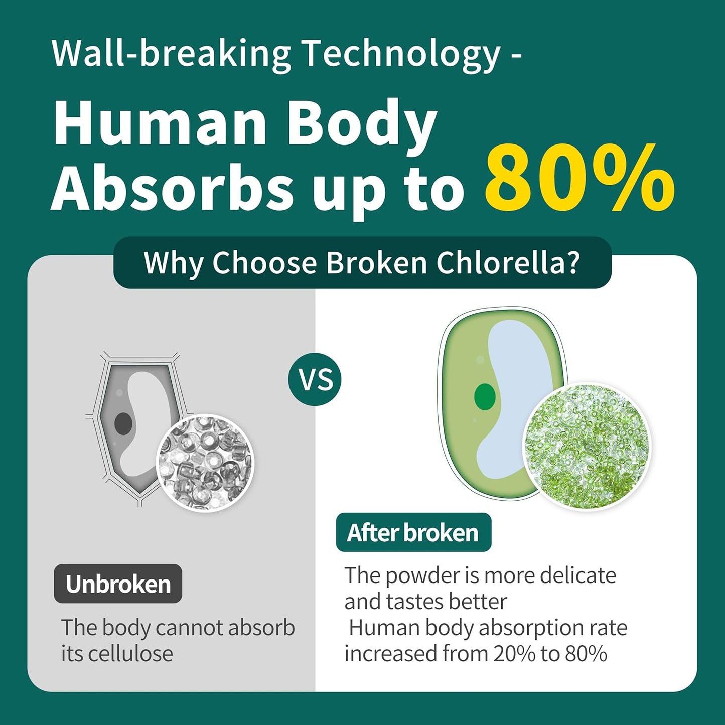 Premium Hudetex Chlorella Powder - 12 oz Chlorophyll Powder for Immune & Liver Health, Vegan Protein & Vitamin-Rich Youth Formula