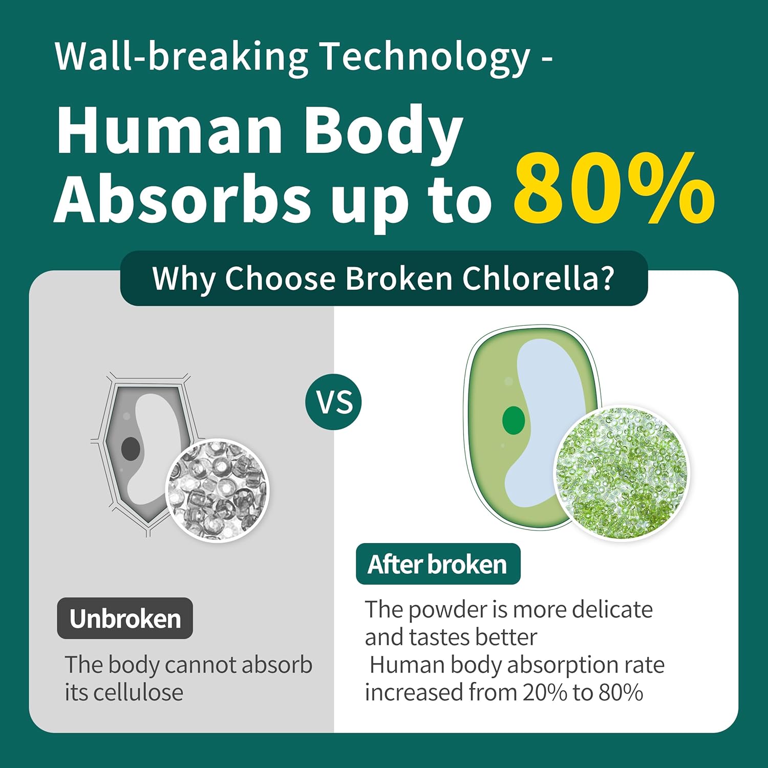 Premium Hudetex Chlorella Powder - 12 oz Chlorophyll Powder for Immune & Liver Health, Vegan Protein & Vitamin-Rich Youth Formula