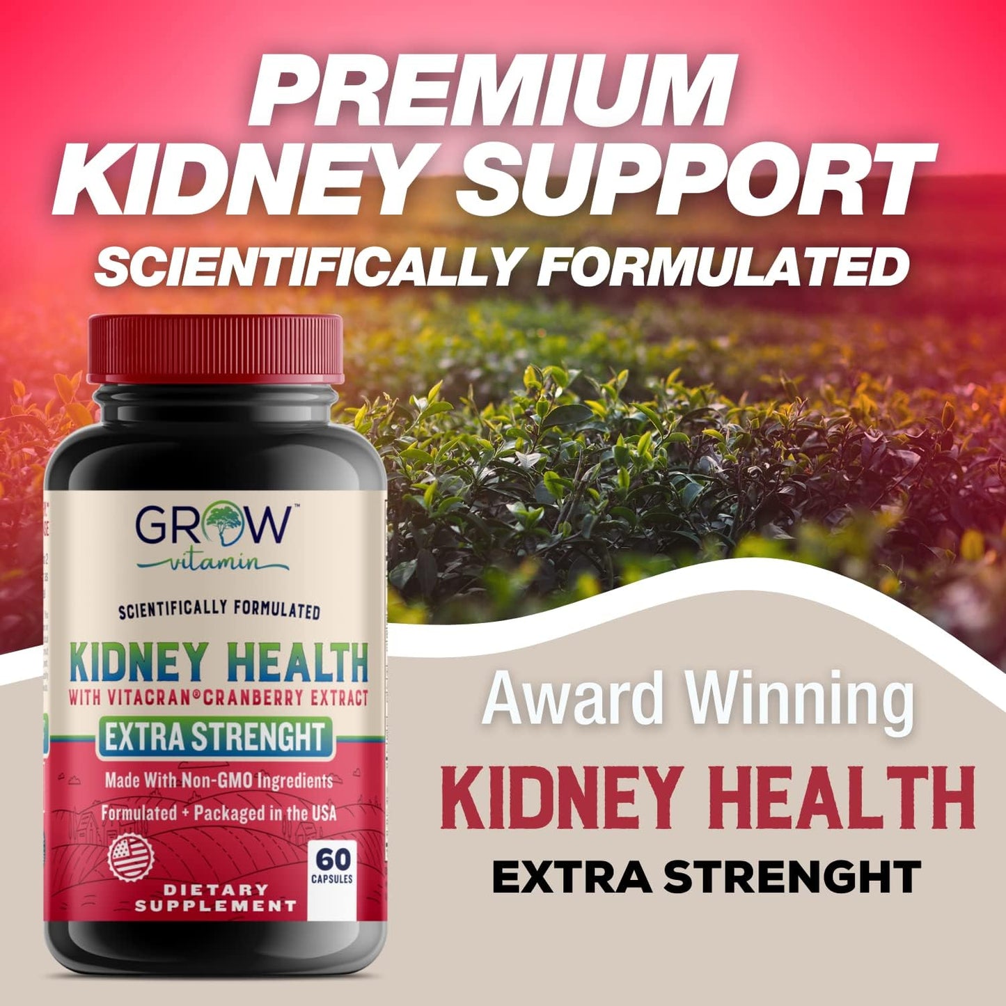 Premium Kidney Cleanse Supplement with Cranberry Extract - Supports Healthy Kidneys & Urinary Tract - 60 Vegetarian Capsules