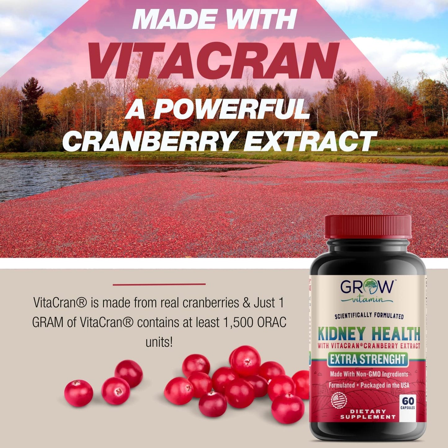 Premium Kidney Cleanse Supplement with Cranberry Extract - Supports Healthy Kidneys & Urinary Tract - 60 Vegetarian Capsules