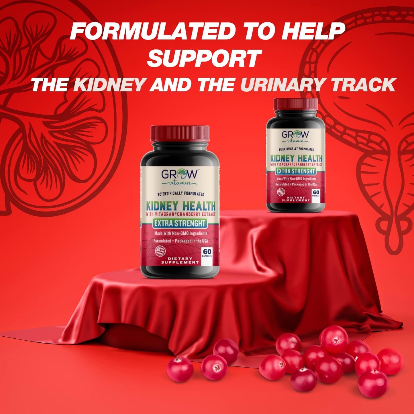 Premium Kidney Cleanse Supplement with Cranberry Extract - Supports Healthy Kidneys & Urinary Tract - 60 Vegetarian Capsules