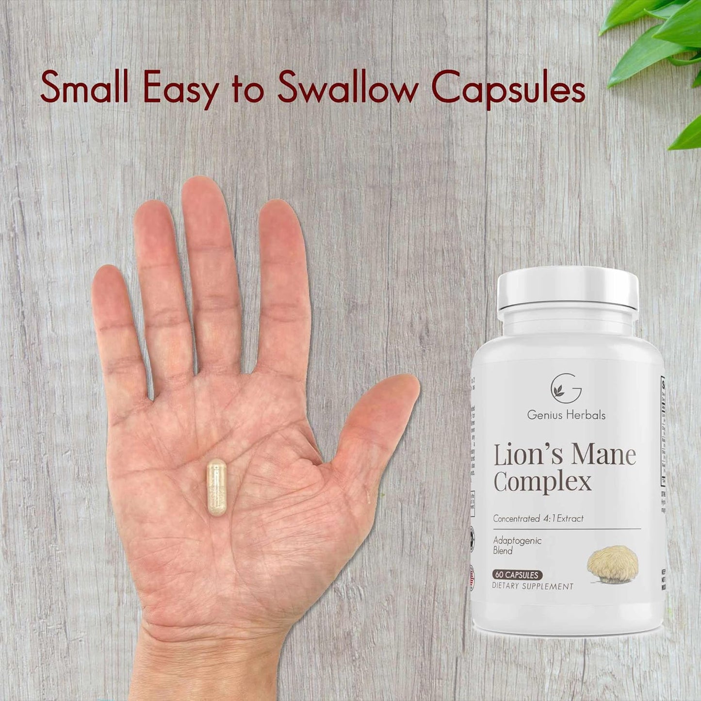 Premium Lions Mane Complex Supplement - 4:1 Extract for Brain Health, Cognitive & Memory Support - 60 Capsules