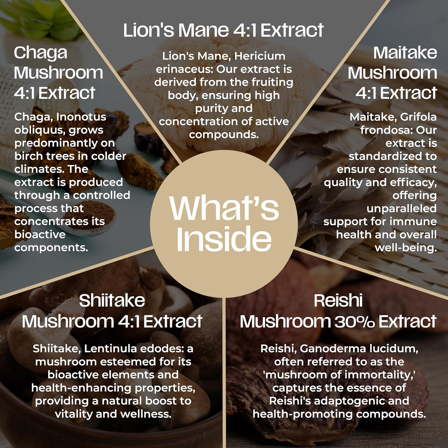 Premium Lions Mane Mushroom Supplement with Chaga, Maitake, Shiitake & Reishi - Mood, Brain, Immune Support - Non-GMO - 60 Vegan Capsules