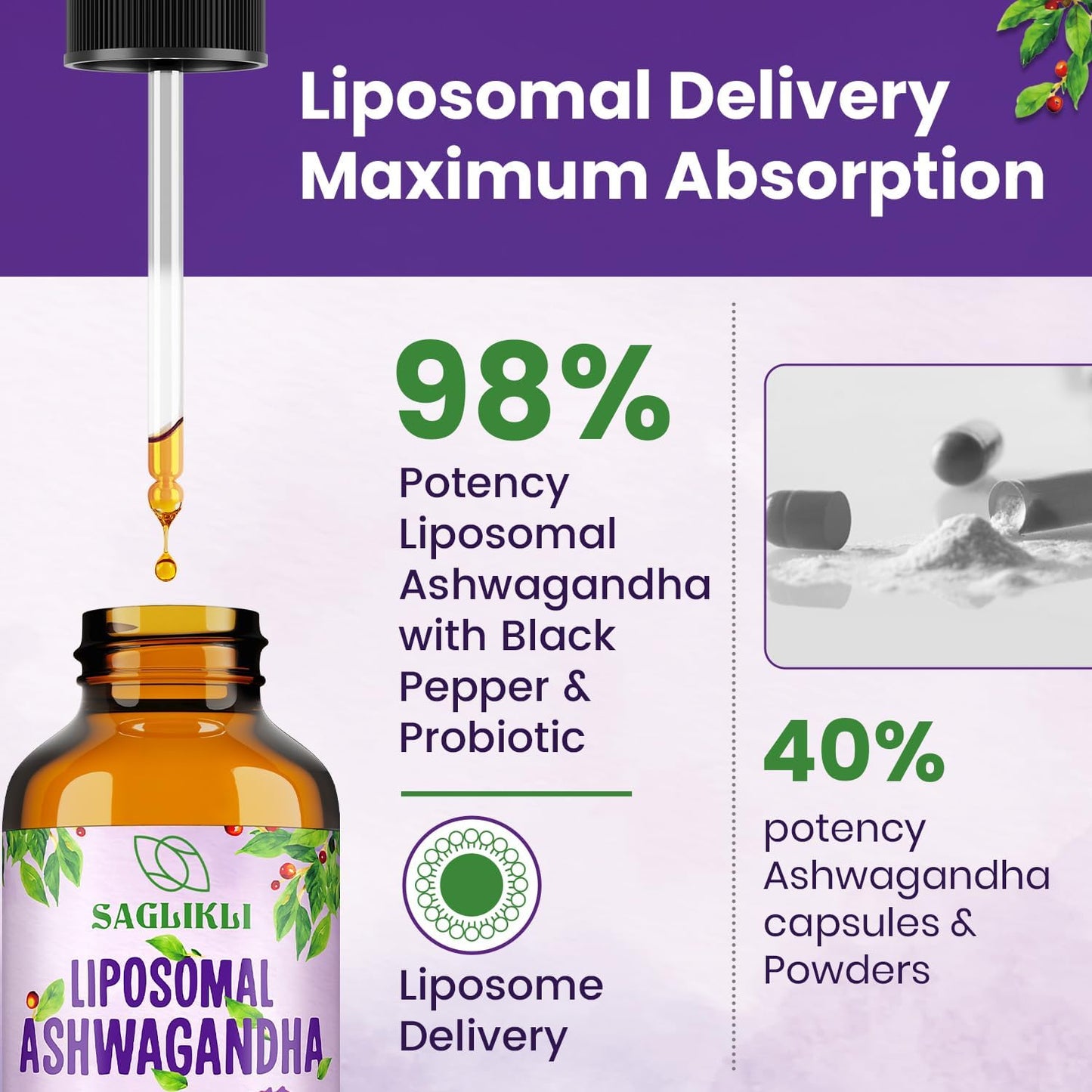 Premium Liposomal Ashwagandha Liquid Drops - 2000mg with 7% Withanolides, Black Pepper Extract & Probiotics - Focus, Cognition & Energy Support - 4 FL.OZ (2 Pack)