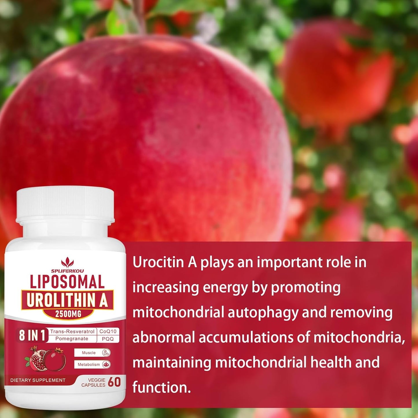 Premium Liposomal Urolithin A Supplement 2500mg with Resveratrol, CoQ10, Pomegranate Fruit Extract - Boost Cellular Energy, Gluten Free - 180 Capsules