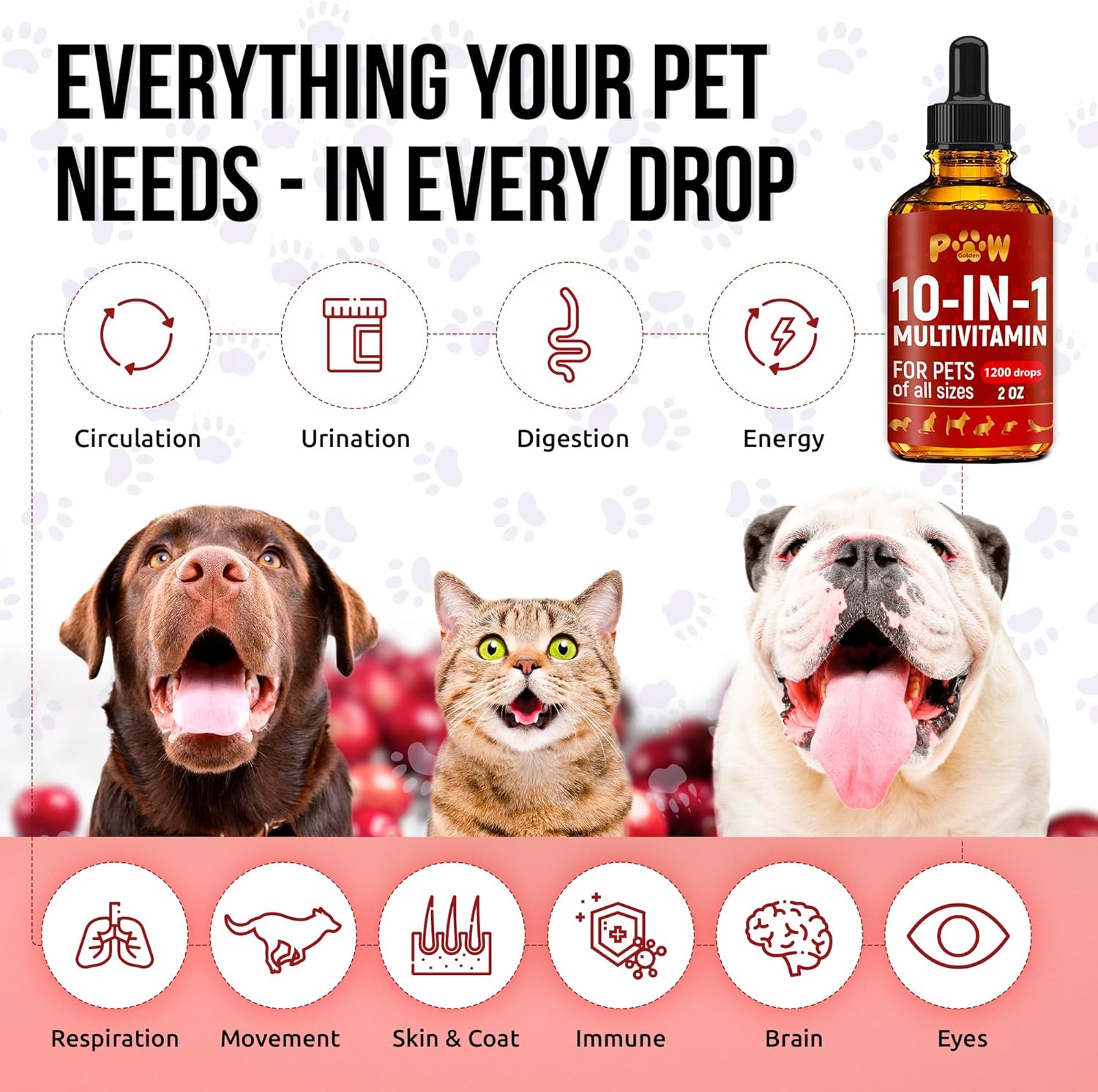 Premium Liquid Multivitamin for Cats and Dogs | 10-in-1 Formula with Vitamin B Complex | Cranberry Supplement for Urinary Health | Supports Digestion, Breathing, and Mobility | All Ages | 2 Oz Bottle