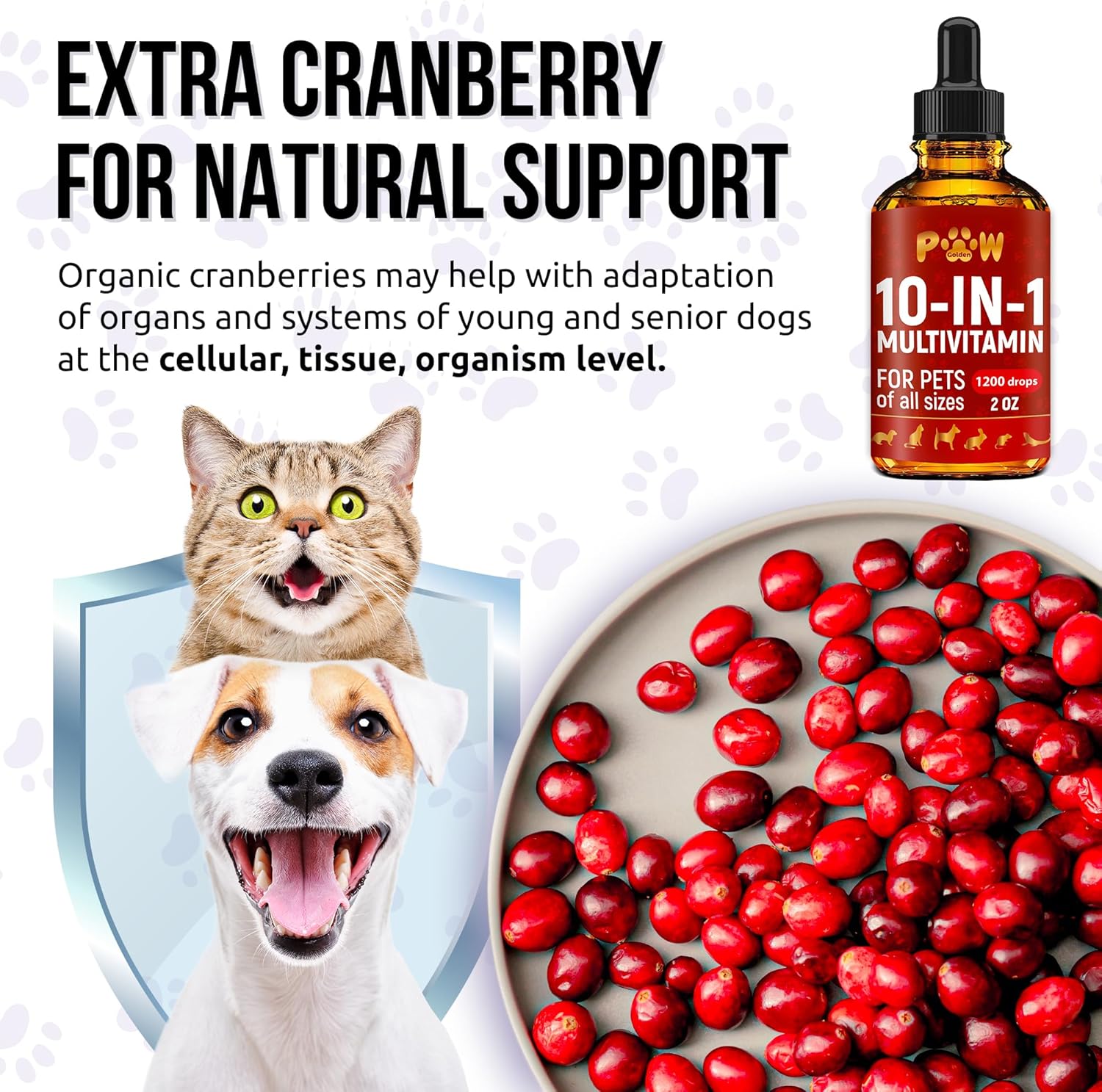 Premium Liquid Multivitamin for Cats and Dogs | 10-in-1 Formula with Vitamin B Complex | Cranberry Supplement for Urinary Health | Supports Digestion, Breathing, and Mobility | All Ages | 2 Oz Bottle