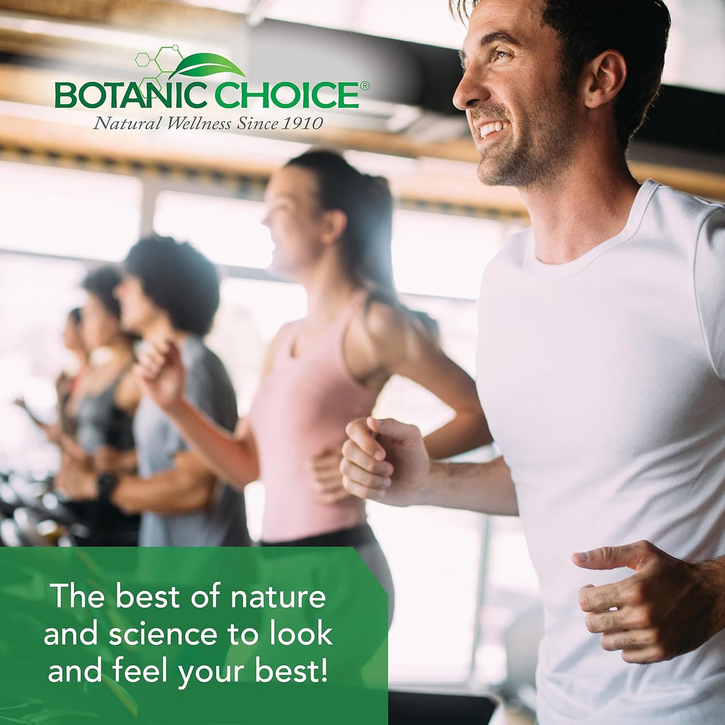 Premium Liver Health Support Supplement with Milk Thistle Extract, Lecithin, Curcumin - Botanic Choice Liver 10 Complex - 60 Pills