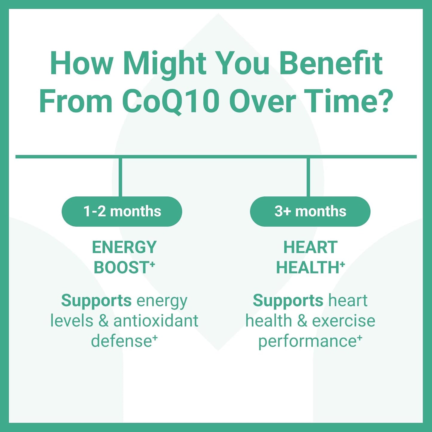 Premium Luma Nutrition CoQ10 400mg Softgels - High Potency Coenzyme Q10 - 60 Liquid Softgels, 2x200mg per Serving