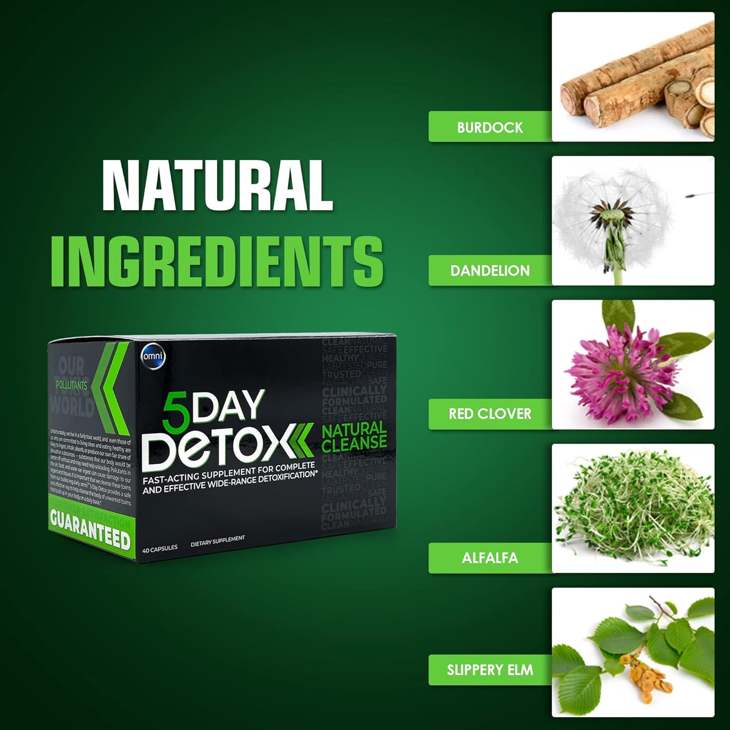 Premium Natural Body Detox Supplement - Wellgenix Omni 5 Day Cleanse, 40 Capsules for Toxin Removal & Total Body Purge - Supports Liver, Kidneys, Urinary Tract, Digestive System