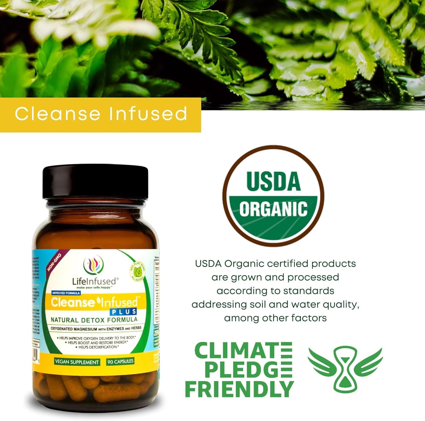 Premium Natural Colon Cleanser with Oxygenated Magnesium, Herbs, and Enzymes - Gentle Constipation Relief and Total Body Detox (90 Caps)