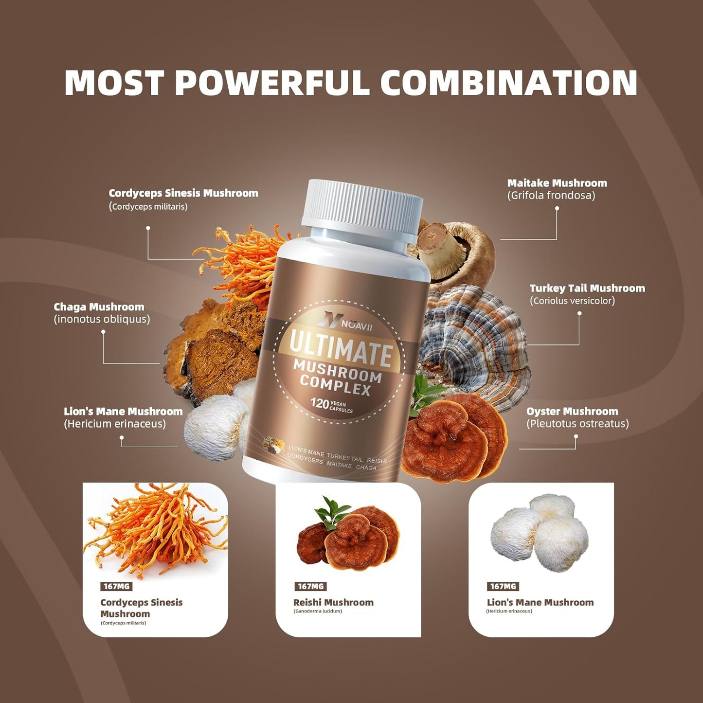 Premium Nootropic Mushroom Complex Supplement - 10 Mushrooms Blend for Brain, Energy, and Focus - 2600mg, 120 Capsules