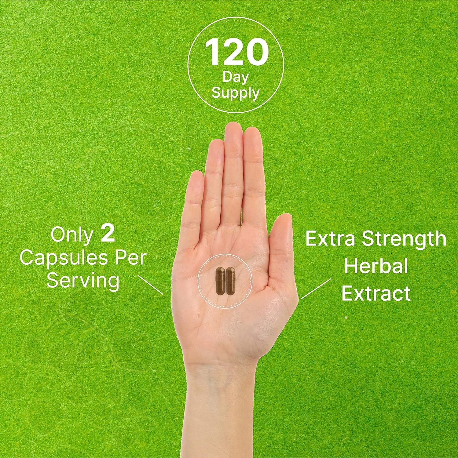 Premium North American St. John's Wort Extract Capsules - 1000mg, 240 Count, High Hypericins Content