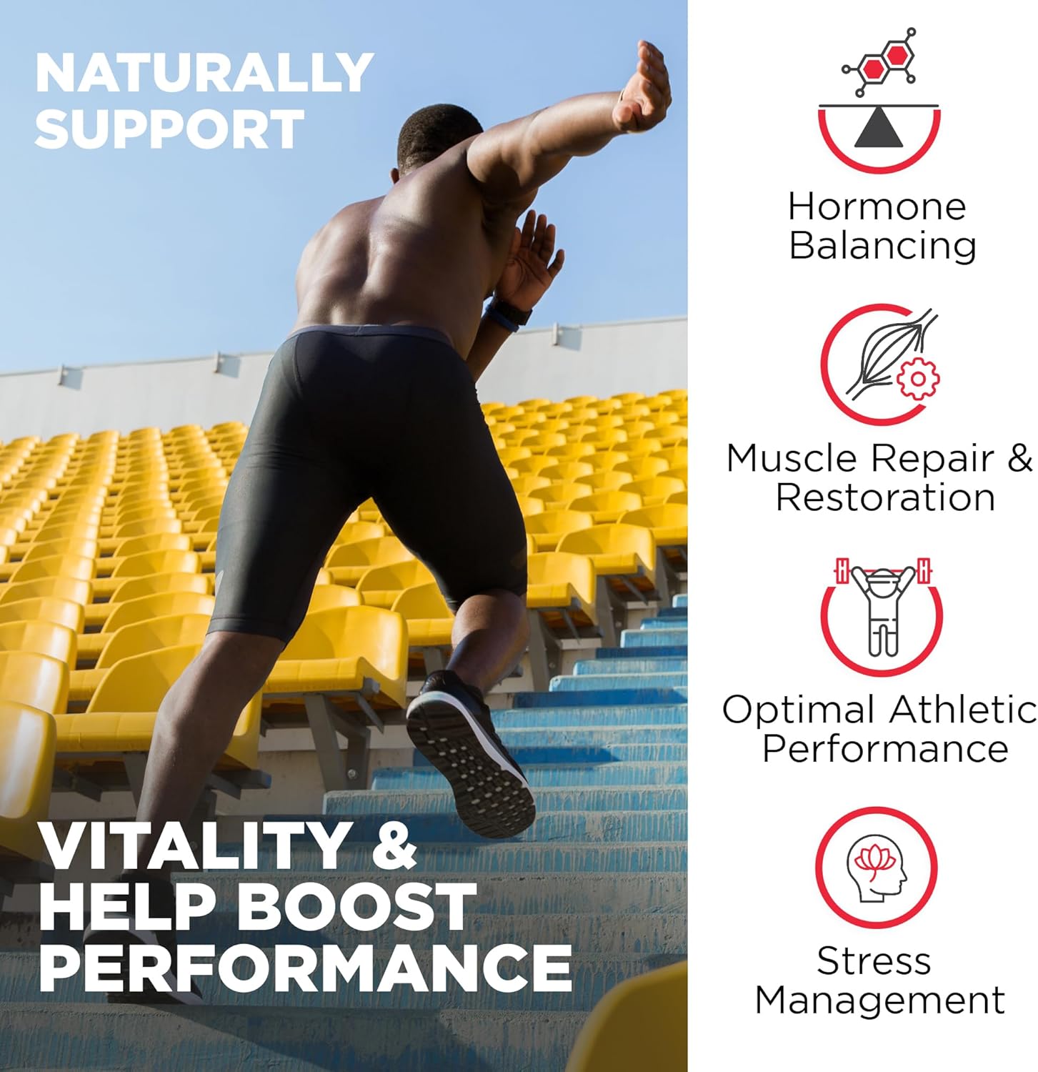 Premium Nutrivein Fadogia Agrestis, Tongkat Ali & Turkesterone Supplement - Boost Performance, Strength, & Recovery - 1100mg