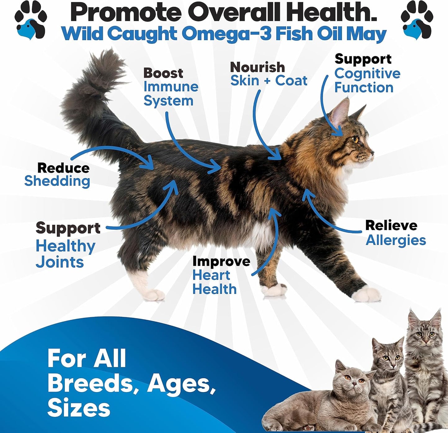 Premium Omega 3 Fish Oil Supplement for Cats - Essential Vitamins and Supplements for Feline Health - Liquid Formula for Healthy Skin and Coat - Cat Dandruff and Shedding Relief