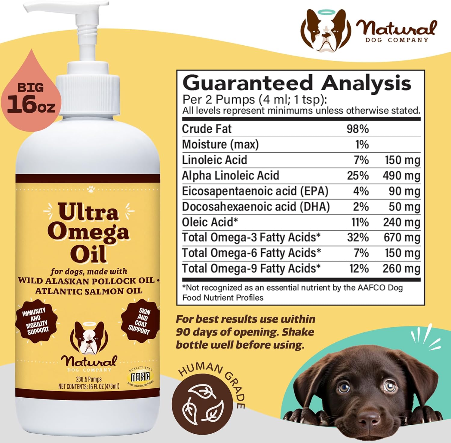 Premium Omega 3 Fish Oil Supplement for Dogs - 16oz Bottle - Supports Skin, Coat, and Joint Health - Natural Dog Company Omega 6 & 9 Fish Oil Blend with Flax, Pollock, and Salmon Oil