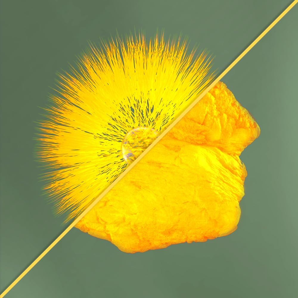 Premium Pharma Nord CoQ10 Vegan Bio-Quinone Softgels - 100mg, 180 Count - Plant-Based Coenzyme Q10 Supplement for Heart Health & Energy Production - Non-GMO Ingredients - High Absorption Formula