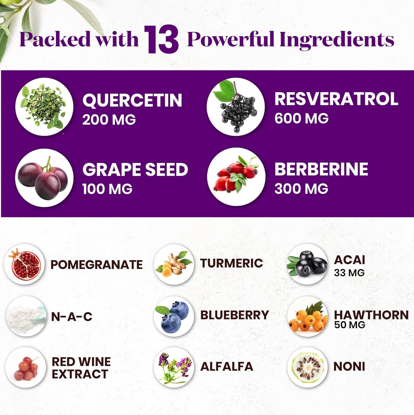 Premium Polyphenol Superfood Supplement with Resveratrol, Berberine, and Grape Seed Extract - Includes Noni, N-Acetyl Cysteine, and Acai - 60 Capsules - Made in USA