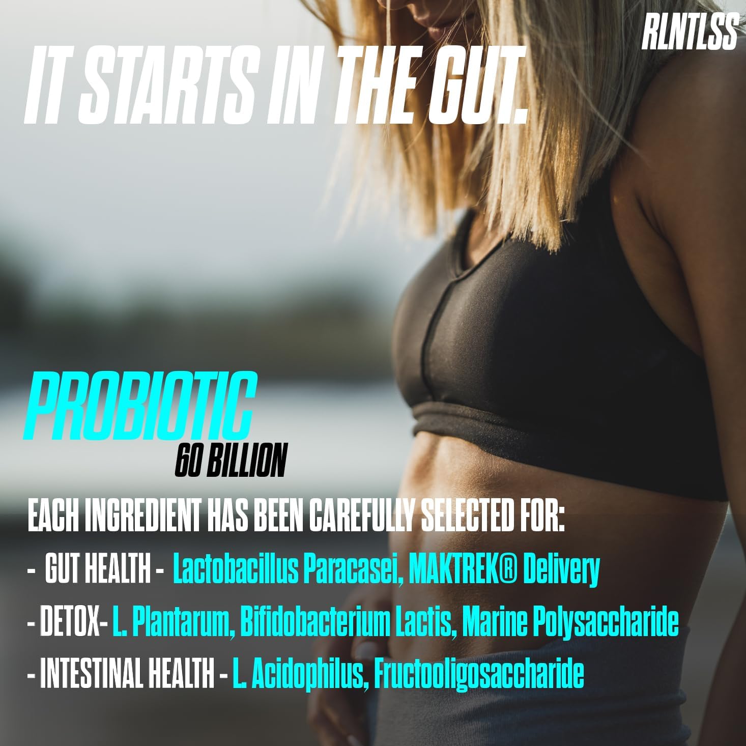 Premium Probiotic Capsules for Men and Women - 60 Billion CFU, 4 Strain Blend, Shelf Stable - Probiotic and Prebiotic Supplement (60 Count)