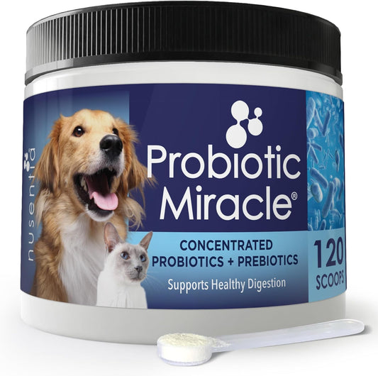 Premium Probiotic Supplement for Cats & Dogs - Supports Digestive Health, Bowel Function, and Stops Diarrhea and Loose Stool - NUSENTIA Probiotic Miracle