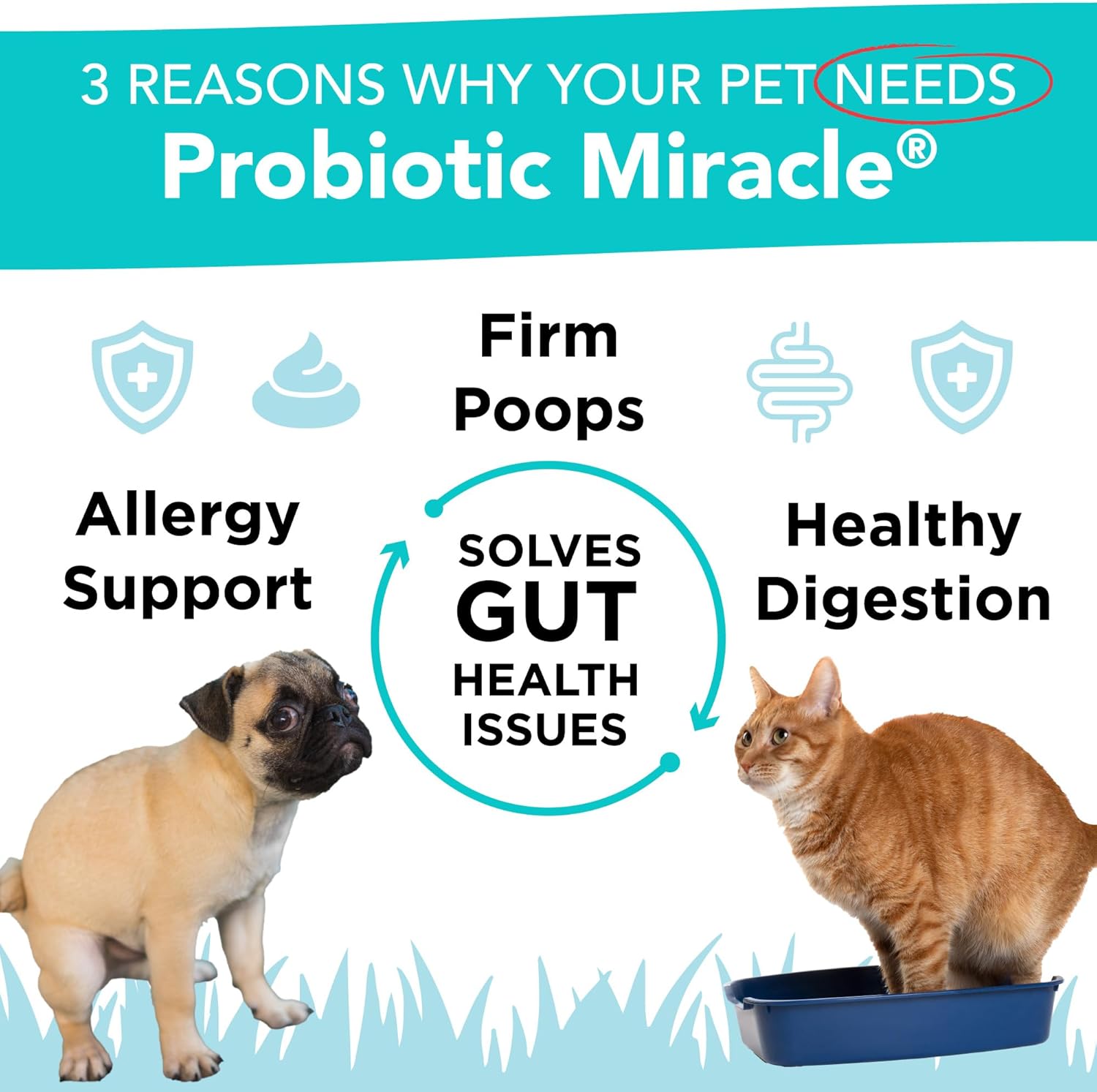 Premium Probiotic Supplement for Cats & Dogs - Supports Digestive Health, Bowel Function, and Stops Diarrhea and Loose Stool - NUSENTIA Probiotic Miracle