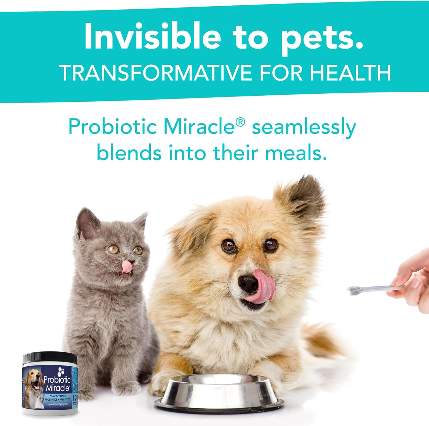 Premium Probiotic Supplement for Cats & Dogs - Supports Digestive Health, Bowel Function, and Stops Diarrhea and Loose Stool - NUSENTIA Probiotic Miracle