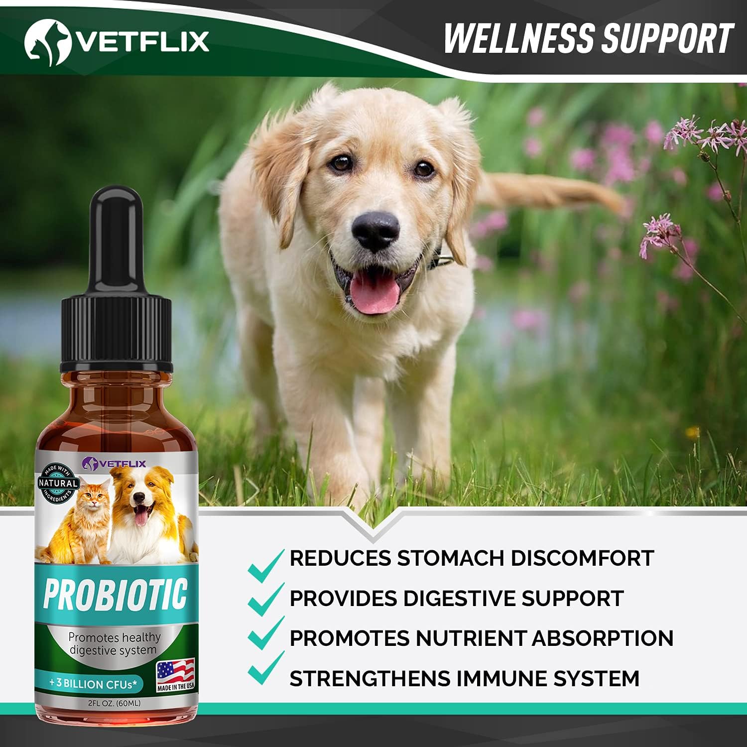 Premium Probiotics for Dogs & Cats with Digestive Enzymes & Prebiotics - Relieves Diarrhea, Vomiting, Gas, & Bad Breath - Supports Healthy Digestion
