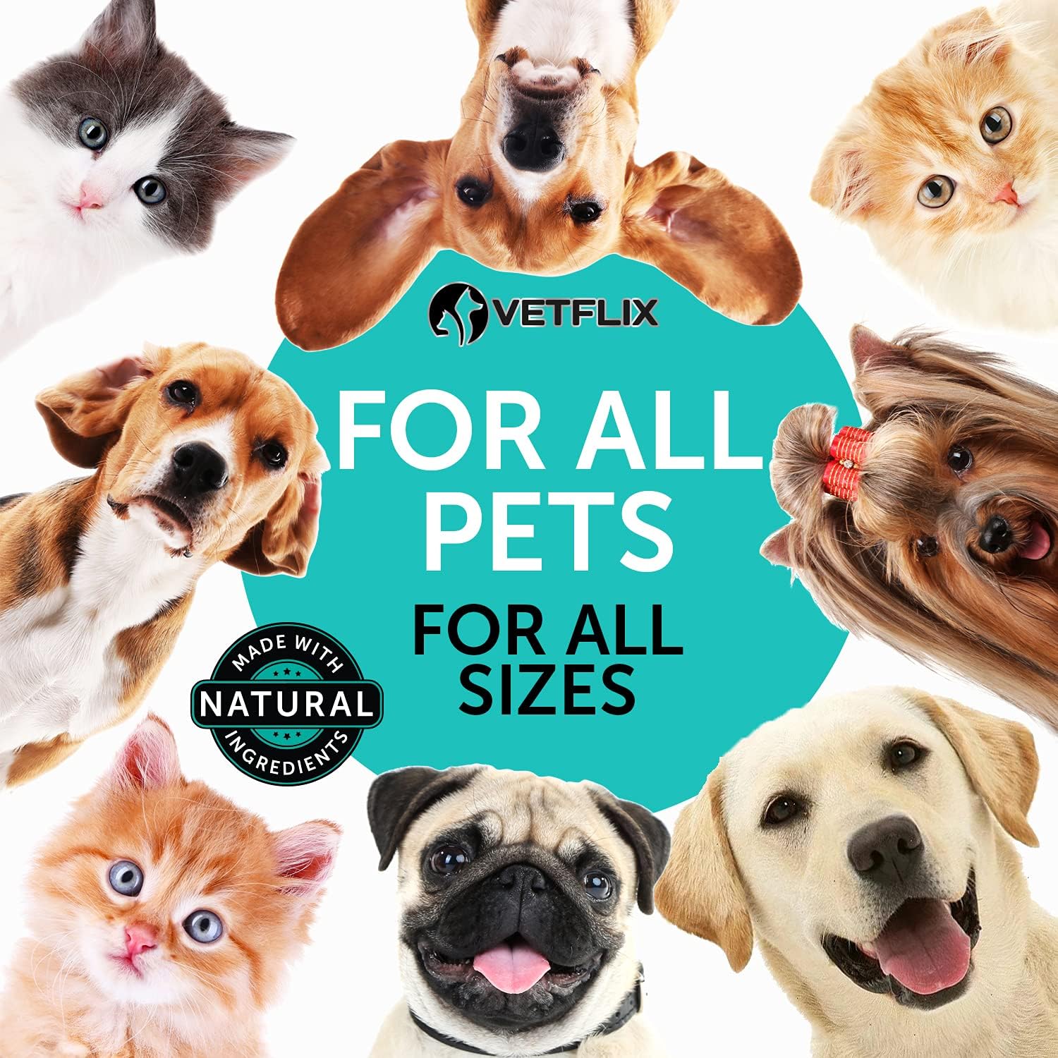 Premium Probiotics for Dogs & Cats with Digestive Enzymes & Prebiotics - Relieves Diarrhea, Vomiting, Gas, & Bad Breath - Supports Healthy Digestion