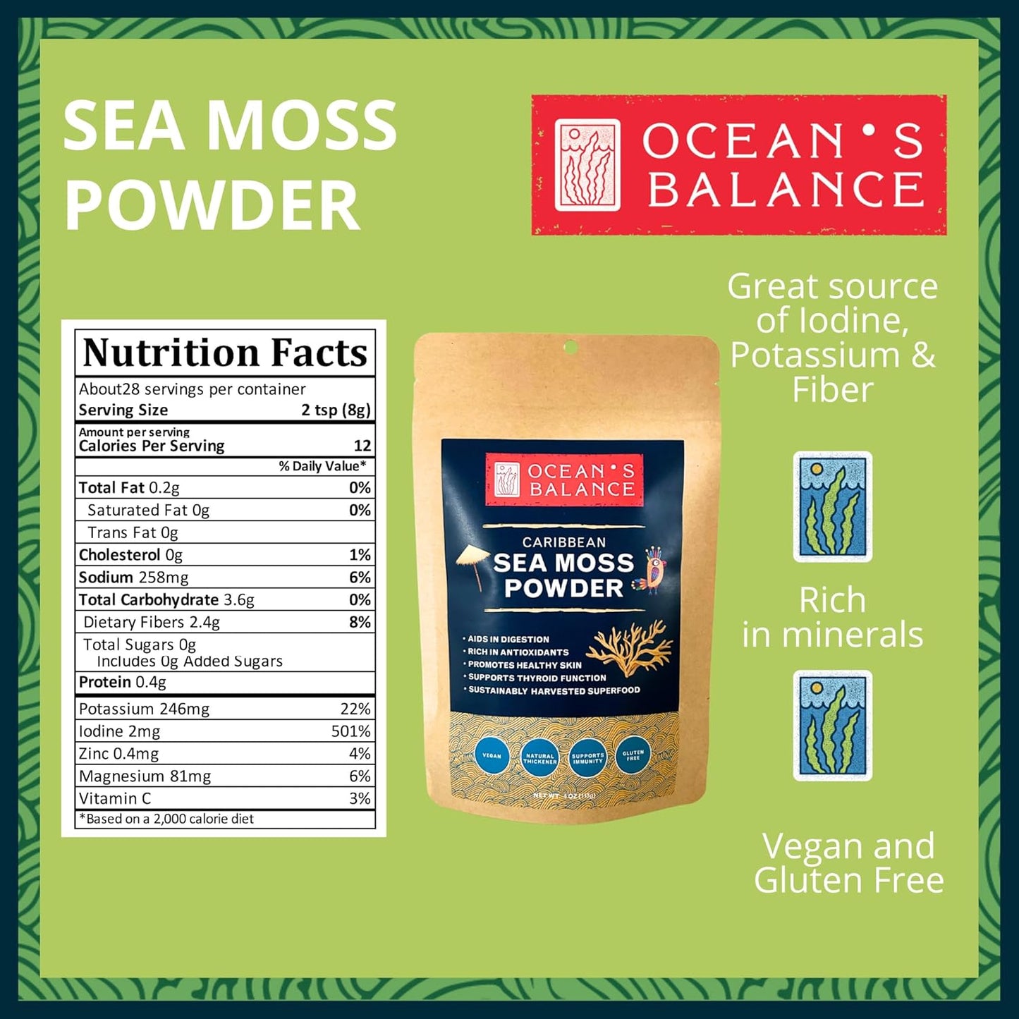 Premium Quality 4oz Maine Sea Moss Powder - Raw & Wildcrafted - Supports Detox, Digestive Health, Immune System, Skin & Hair - Ocean's Balance
