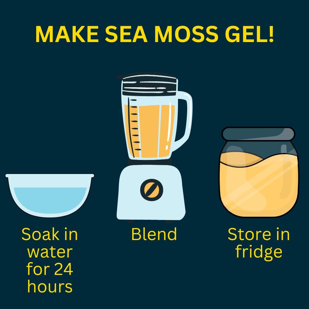 Premium Quality 4oz Maine Sea Moss Powder - Raw & Wildcrafted - Supports Detox, Digestive Health, Immune System, Skin & Hair - Ocean's Balance