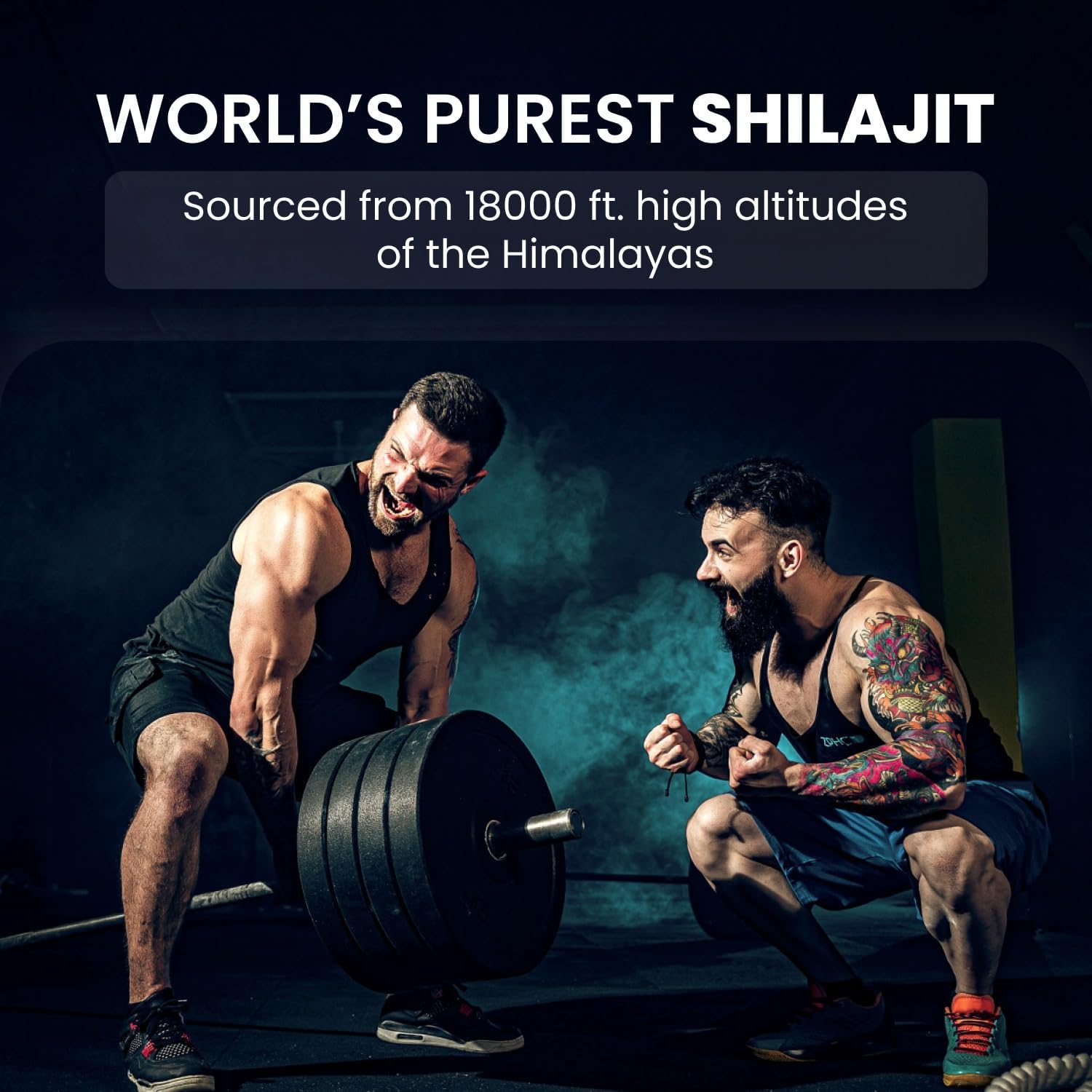 Premium Quality Himalayan Organics 100% Pure Shilajit Resin for Enhanced Performance and Overall Wellbeing - 20g