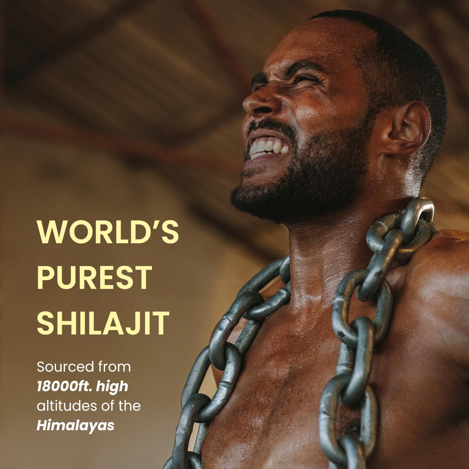 Premium Quality Himalayan Organics 100% Pure Shilajit Resin for Enhanced Performance and Overall Wellbeing - 20g