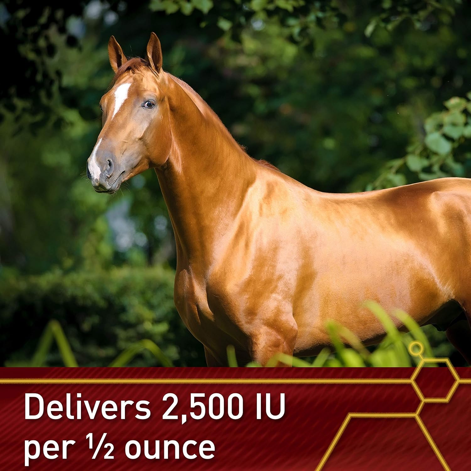 Premium Quality Vita Flex Pro E-5000 Horse Vitamin E Supplement, 4 lbs., 128-Day Supply