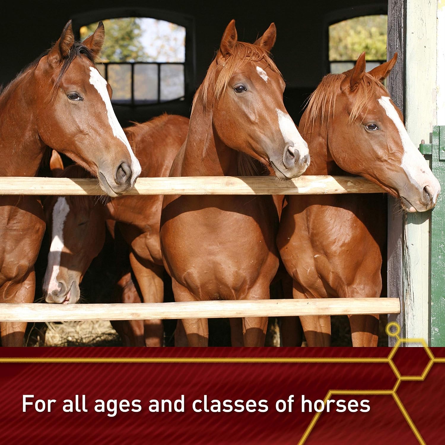 Premium Quality Vita Flex Pro E-5000 Horse Vitamin E Supplement, 4 lbs., 128-Day Supply