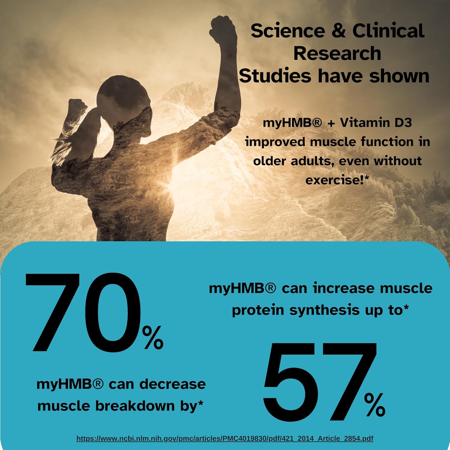 Premium Revival Point Vital Muscle Boost with myHMB and Vitamin D3 - Patented 3000mg HMB Powder Supplement for Healthy Muscles, Energy, and Strength - Supports Protein Synthesis for Active Life