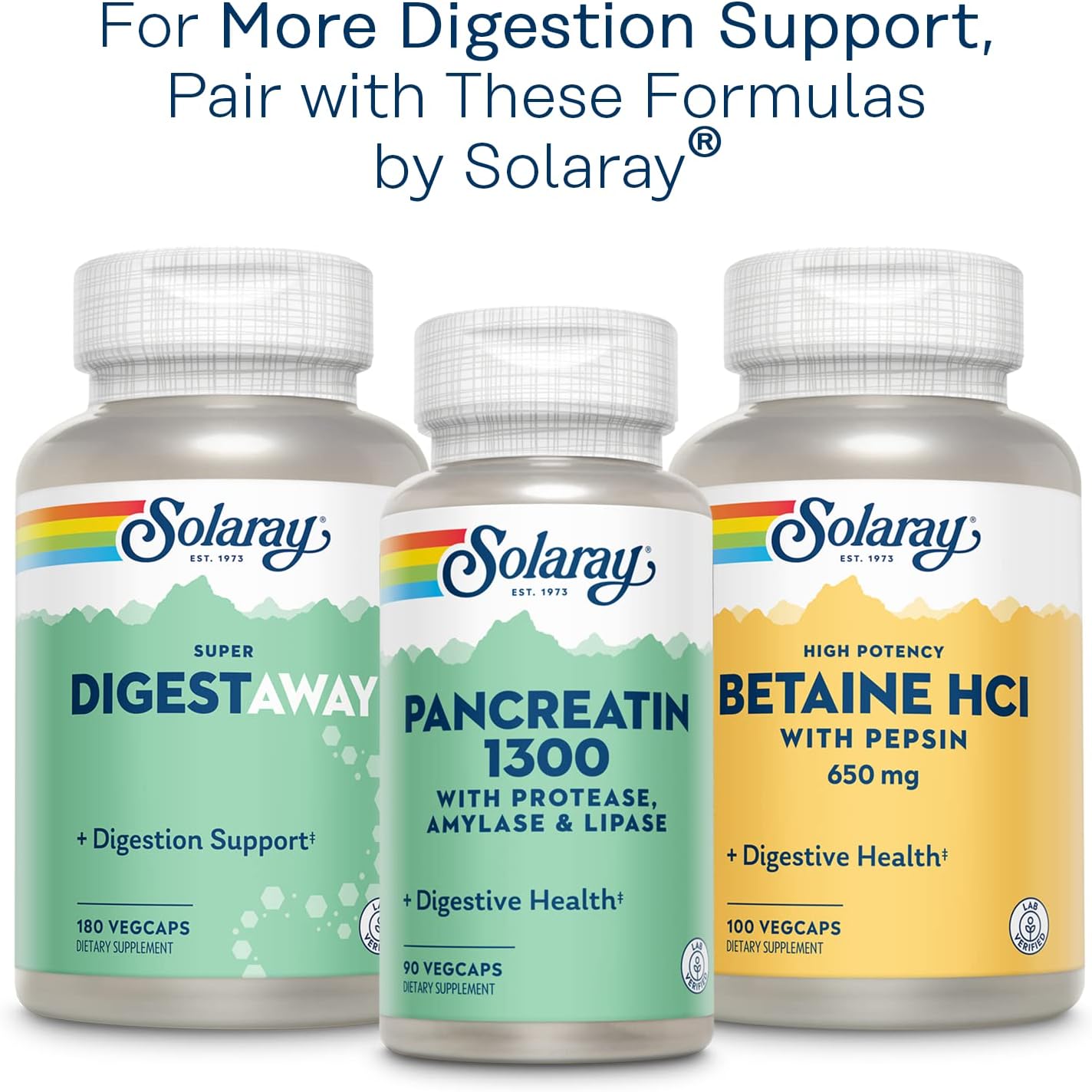 Premium Solaray Mastic Gum Extract Capsules 500mg - 45 Count