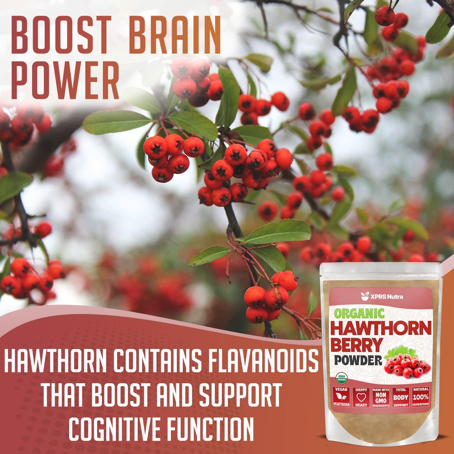 Premium USDA Organic Hawthorn Berry Powder for Cardiovascular Support - Vegan Friendly 8oz Supplement