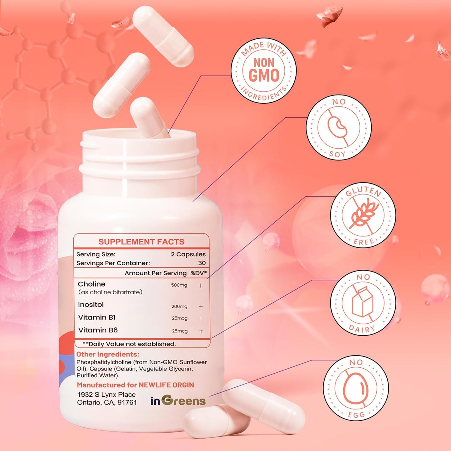 Prenatal Choline Supplement with Inositol, B1, B6 - Supports Brain Development in Utero & Early Life - 30 Day Supply