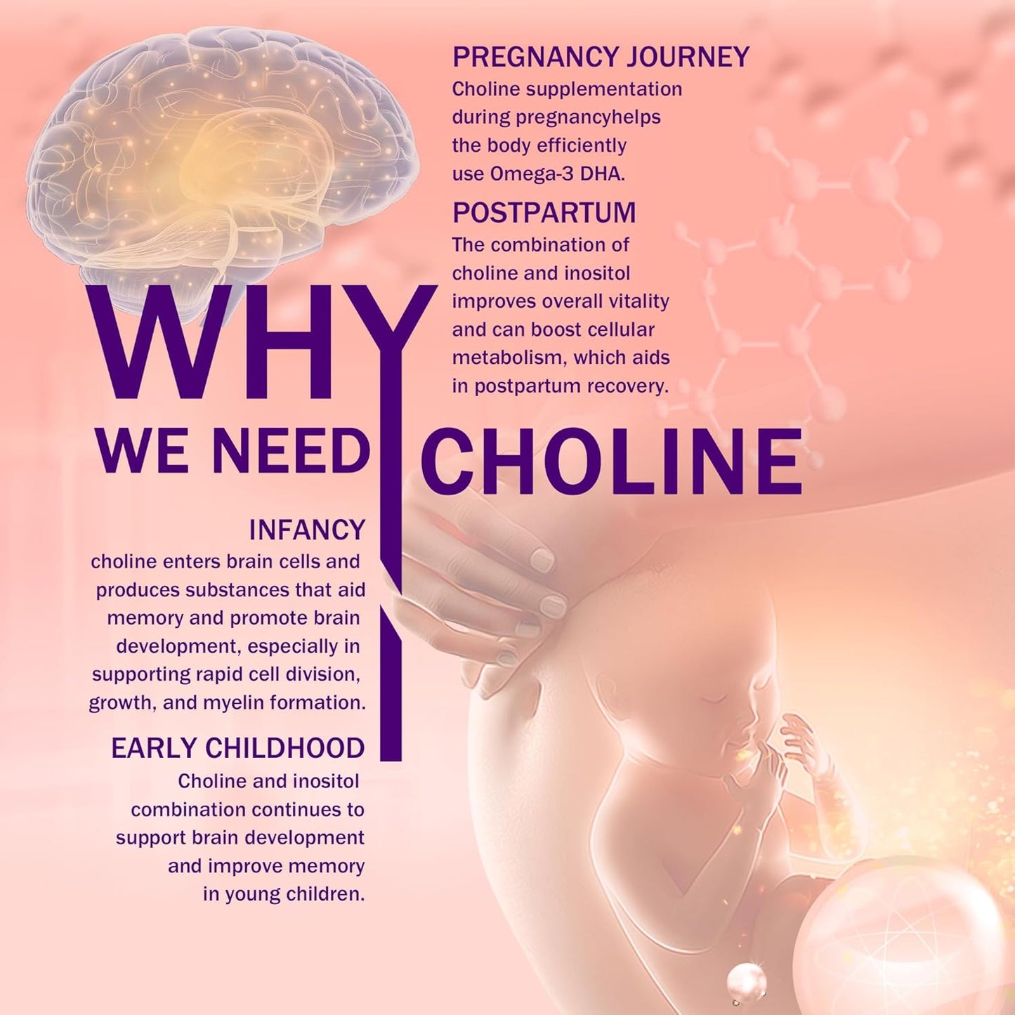 Prenatal Choline Supplement with Inositol, B1, B6 - Supports Brain Development in Utero & Early Life - 30 Day Supply