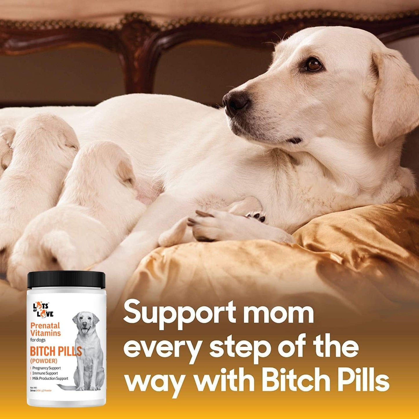 Prenatal Vitamins Powder for Dogs - Folic Acid, B12, Calcium - Pregnant Dog Supplies - Liver Flavor - 1lb