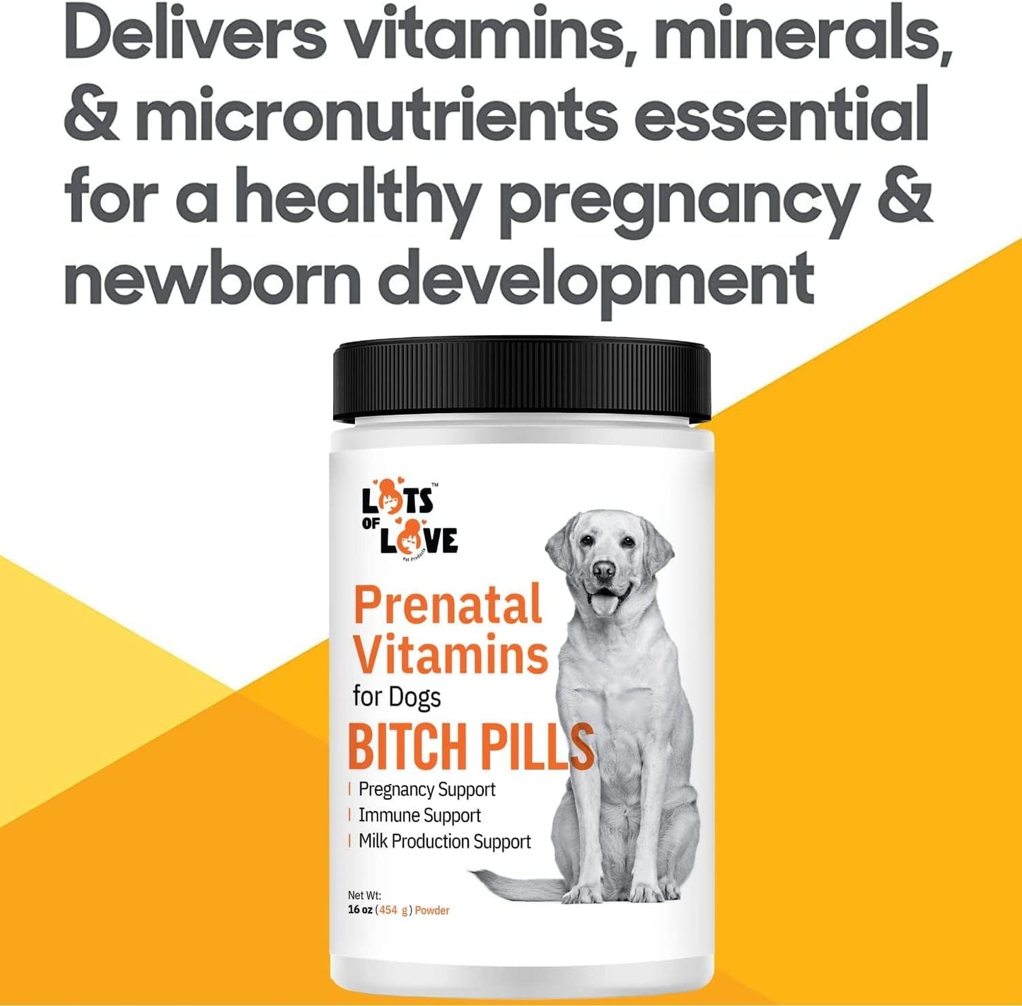 Prenatal Vitamins Powder for Dogs - Folic Acid, B12, Calcium - Pregnant Dog Supplies - Liver Flavor - 1lb