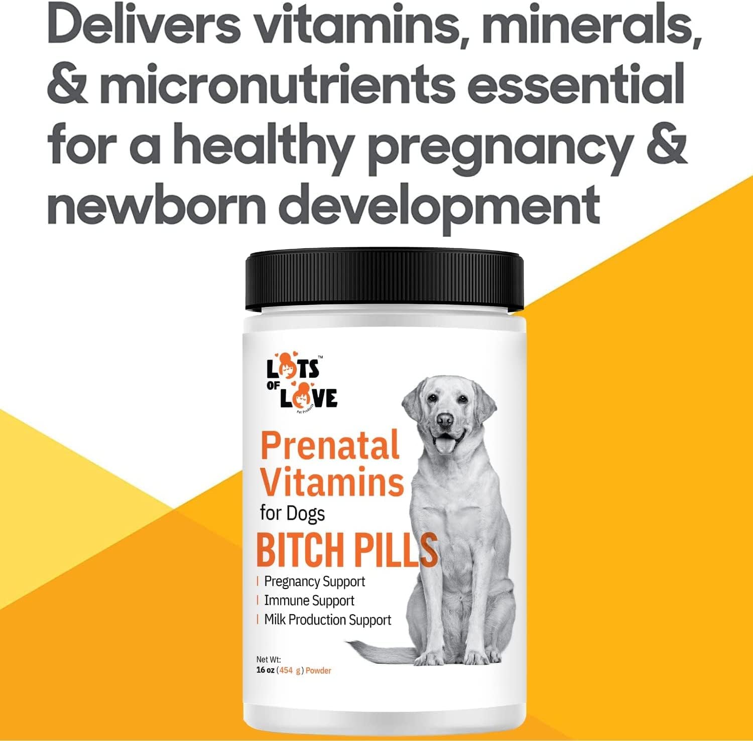 Prenatal Vitamins Powder for Dogs - Folic Acid, B12, Calcium - Pregnant Dog Supplies - Liver Flavor - 1lb